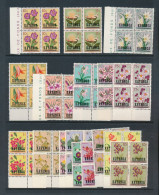 KATANGA  FLOWER COB 23/39 MNH - Katanga