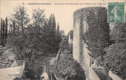 45-CHATILLON COLIGNY-N°T2911-A/0011 - Chatillon Coligny