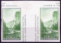 ZAYIX US 769 MNH NGAI 1c Yosemite Lt Green Pair With Vertical Gutter 050223S09M - Blocks & Sheetlets