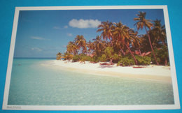 Maldive Cartolina Non Viaggiata - Maldivas