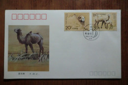 China. FDC Del 1993  (A) - Storia Postale