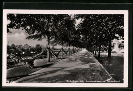 AK Berlin-Lichterfelde, Promenadenweg Am Teltow-Kanal  - Lichterfelde