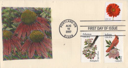 ZAYIX US 4181 FDC Hand-colored SMB Cachets 100823USF03 - 2011-...