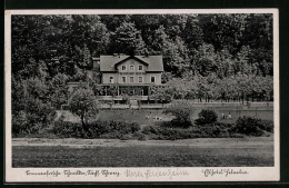 AK Schmilka, Auf Den Wiesen Vor Dem Fremdenhof Elbhotel Helvetia  - Schmilka