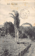 Seychelles - MAHÉ - Raffia Tree - Publ. S.S. Ohashi - Seychelles