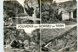 48* GORGES DU TARN (pmultivues,) (CPSM10x15cm)                     MA58-0404 - Maison De La Bonne Presse