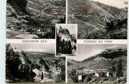 48* GORGES DU TARN (prades-castelbouc ,,,) (CPSM10x15cm)                                           MA58-0399 - Maison De La Bonne Presse