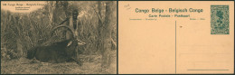 Congo Belge - EP Au Type SBEP 61 Vue 106 Neuf / Not Used (15C Vert Palmier)  // Antilope Cheval - Enteros Postales