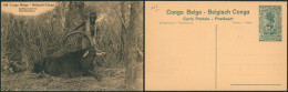 Congo Belge - EP Au Type SBEP 61 Vue 106 Neuf / Not Used (15C Vert Palmier)  // Antilope Cheval - Enteros Postales