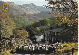 DRIVING SHEEP, SEATOLLER, BORROWDALE, CUMBRIA, ENGLAND. USED POSTCARD   Pa4 - Borrowdale