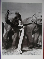 PHOTOGRAPHE - Richard AVEDON - DOVIMA Portant Une Robe Du Soir DIOR Avec 2 éléphants. (Aout 1955) - Altri & Non Classificati