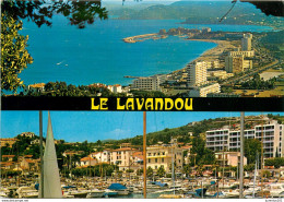 CPSM Le Lavandou    L2524 - Le Lavandou