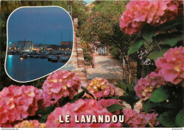 CPSM Le Lavandou    L2524 - Le Lavandou