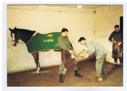 YVELINES - St-GERMAIN-en-LAYE - Le Maréchal-Ferrant - Salon Cartyvelines 91 - Cliché Daniel Rouzaud ( Cheval ) - Sammlerbörsen & Sammlerausstellungen