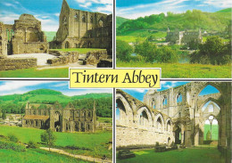 SCENES FROM TINTERN ABBEY, WALES. UNUSED POSTCARD  Pa5 - Monmouthshire