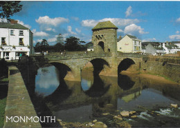 MONMOUTH, WALES. UNUSED POSTCARD  Pa5 - Monmouthshire