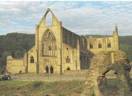 TINTERN ABBEY, WALES. UNUSED POSTCARD  Pa5 - Monmouthshire