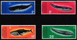 Britische Gebiete In Der Antarktis 64-67 Postfrisch Fische #HC574 - Other & Unclassified