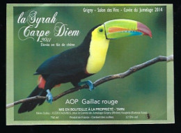 Etiquette Vin Gaillac Rouge La Syrah Carpe Diem 2011 Denis Dufaut à Cazeres 81 "oiseau Toucan" - Gaillac