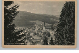 7743 FURTWANGEN, Blick über Den Ort, Verlag Burda - Furtwangen