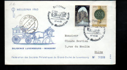 LUXEMBOURG SEUL SUR LETTRE POUR LA FRANCE 1984 - Briefe U. Dokumente