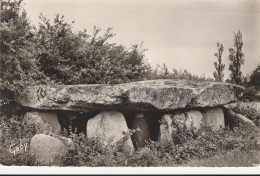 85 - LE BERNARD. -  Le Dolmen De La Frébouchière. CPSM 9X14 - Dolmen & Menhirs