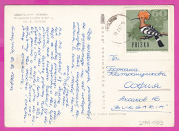 294403 / Poland - DĘBNO Pow. BRZESKO - FRAGMENT ZAMKU PC 1967 USED 60gr Bird Birds Eurasian Hoopoe (Upupa Epops) - Lettres & Documents
