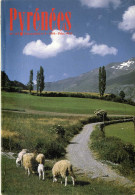 PYRENEEE  N°147  N°3 1986 -  DANS LE PAS DES CADIER   MAURICE GOURDON  ETC - PAGE 1  A  337 - Midi-Pyrénées