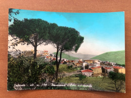 TRIVENTO ( CAMPOBASSO) PANORAMA LATO OCCIDENTALE 1966 - Campobasso