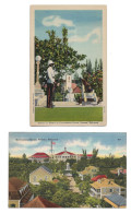 2 Postcards Bahamas Nassau Government House Sentry Royal Bahamas Police Force & General View Unposted - Bahama's