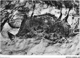 AJPP5-24-0596 - MONTIGNAC-SUR-VEZERE - Grotte De Lascaux - Galerie De Droite - Bovide - Montignac-sur-Vézère