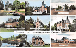 Souvenir De SAINT ETIENNE DE MONTLUC - Très Bon état - Saint Etienne De Montluc