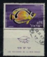 Israël - "Poisson De La Mer Rouge : Chaetodon" - Oblitéré N° 226 Tab De 1962 - Oblitérés (avec Tabs)