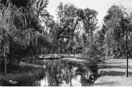 DORDIVES - Le Betz - Très Bon état - Dordives