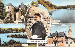 85-CHANTONNAY-N°T2919-D/0001 - Chantonnay