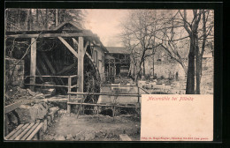 AK Dresden-Pillnitz, Gasthaus Meixmühle, Gartenansicht - Pillnitz