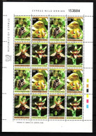 ZYPERN MI-NR. 552-555 GESTEMPELT(USED) KLEINBOGEN FLORA 1981 WILDE ORCHIDEEN - Used Stamps