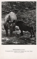 C P S M   - TH - ARFRIQUE -  KENIA - Rhinoceros & Calf - Kenia