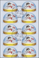 FB 41 Winter & Schneemann, Folienblatt Mit 10x 3113, EV-O Bonn  - 2011-2020