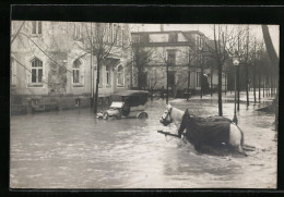 AK Coburg, Hochwasser 1909, Auto Und Pferde In Den Fluten  - Inondations