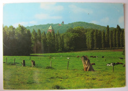 BELGIQUE - FLANDRE OCCIDENTALE - HEUVELLAND - KEMMEL - Panorama Du Mont Kemmel - Heuvelland