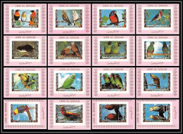 0054/ Umm Al Qiwain Deluxe Blocs ** MNH Michel N°1242 / 1257 Parrots And Finches Oiseaux (birds) Rose Non Dentelé - Papagayos