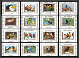 0057/ Umm Al Qiwain Deluxe Blocs ** MNH Michel N°1402 / 1417 Parrots And Finches Oiseaux (birds) Tirage Blanc White - Papagayos