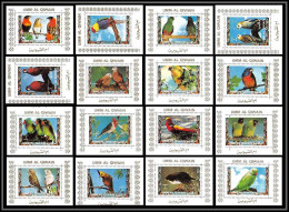 0055/ Umm Al Qiwain Deluxe Blocs ** MNH Michel N°1242 / 1257 Parrots And Finches Oiseaux (birds) Tirage Blanc - Papagayos