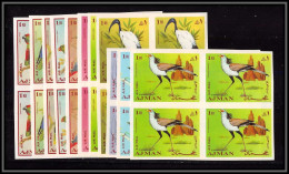 Ajman - 2932b/ N°394/404 B Oiseaux (birds) Perroquets Parrots Ibis Crane Neuf ** MNH Bloc 4 Non Dentelé Imperf - Papagayos