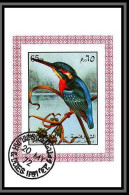 Sharjah - 2032d/ N°1181 River Kingfisher Alcedininae Martin Pêcheur Oiseaux (bird Birds Oiseau) Miniature Sheet Used  - Piciformes (pájaros Carpinteros)