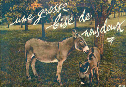 Animaux - Anes - Carte à Message - CPM - Voir Scans Recto-Verso - Donkeys