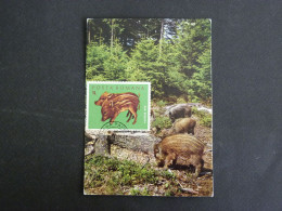 ROUMANIE ROMANIA ROMANA AVEC YT 2677 MARCASSIN SANGLIER WILD BOAR WILDSCHWEIN - Covers & Documents