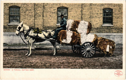 PC US, MI, DETROIT, A TYPICAL COTTON CART, Vintage Postcard (b54526) - Detroit