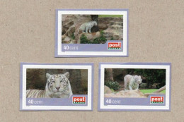 X05] BRD - Privatpost PostModern - 3 W - Weißer Tiger (Panthera Tigris) - Privatpost